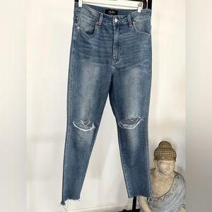 Akira Distressed Jean